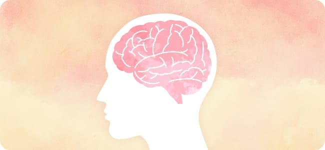 脳のイラストイメージ