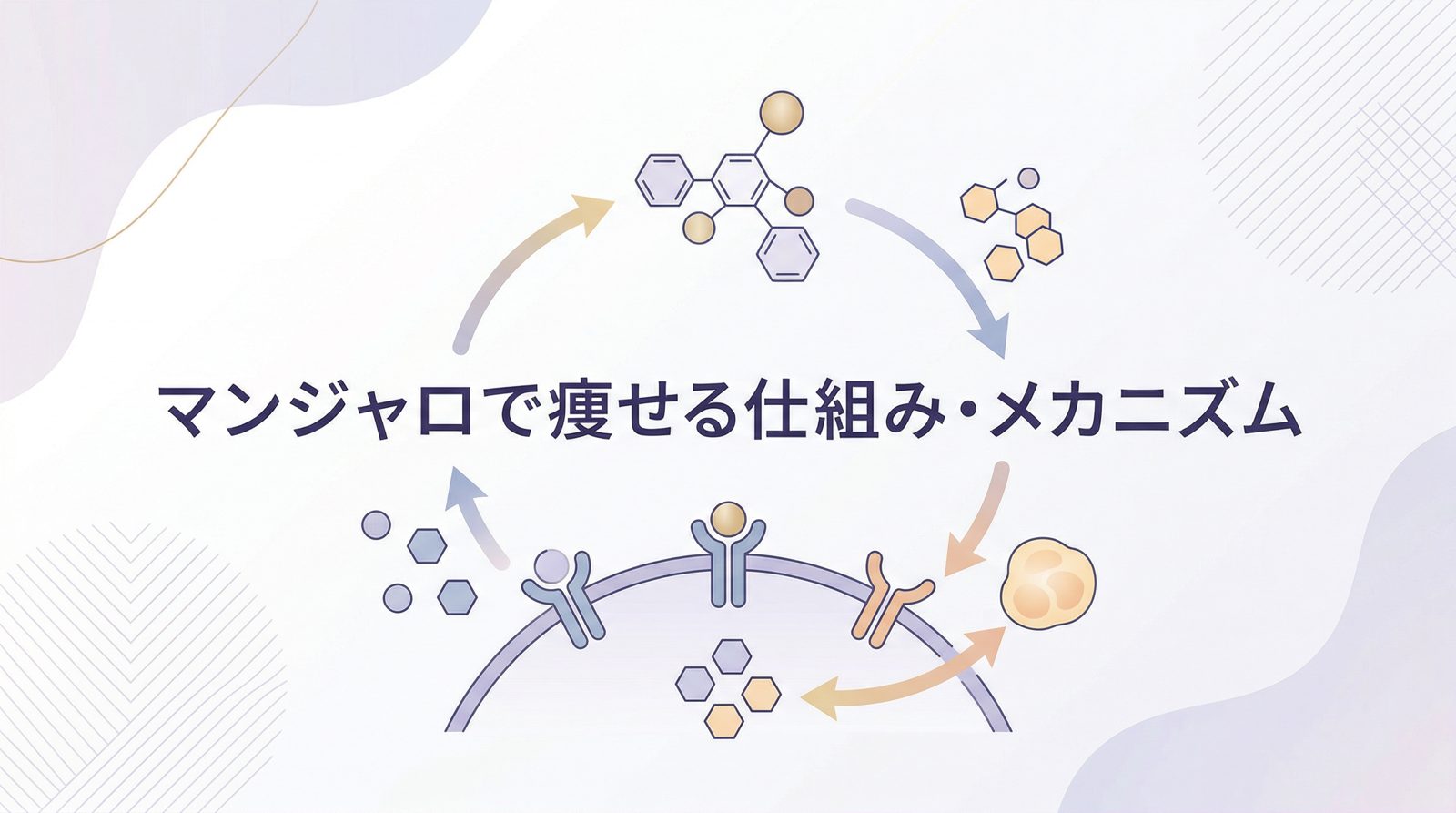 マンジャロで痩せる仕組み・メカニズム